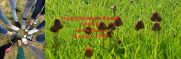 ешки Лихославль