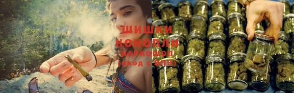 ешки Липки