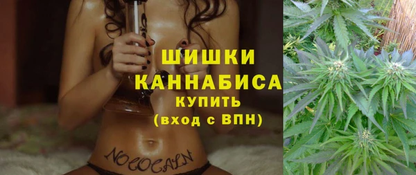 тгк Нижний Тагил