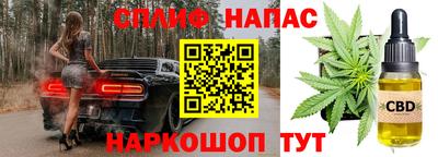 не бодяженный Кингисепп