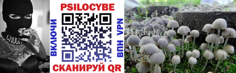 Псилоцибиновые грибы GOLDEN TEACHER  как найти закладки  Нефтекумск 
