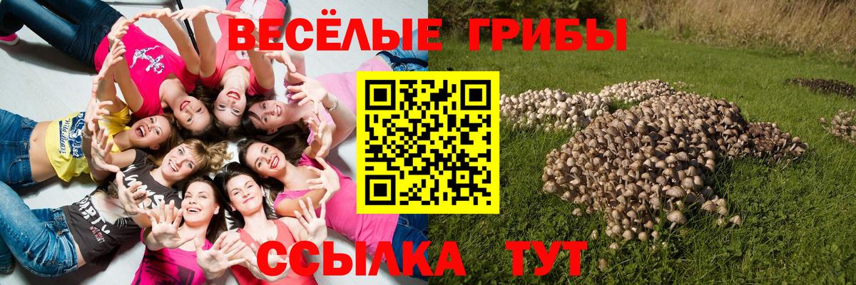 Галлюциногенные грибы Cubensis  где найти   Галлюциногенные грибы Psilocybine cubensis  Нефтекумск  Вход с VPN 