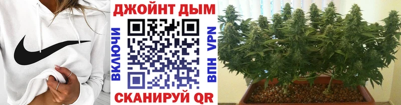 OMG зеркало  Нефтекумск  Шишки марихуана Ganja  магазин продажи  